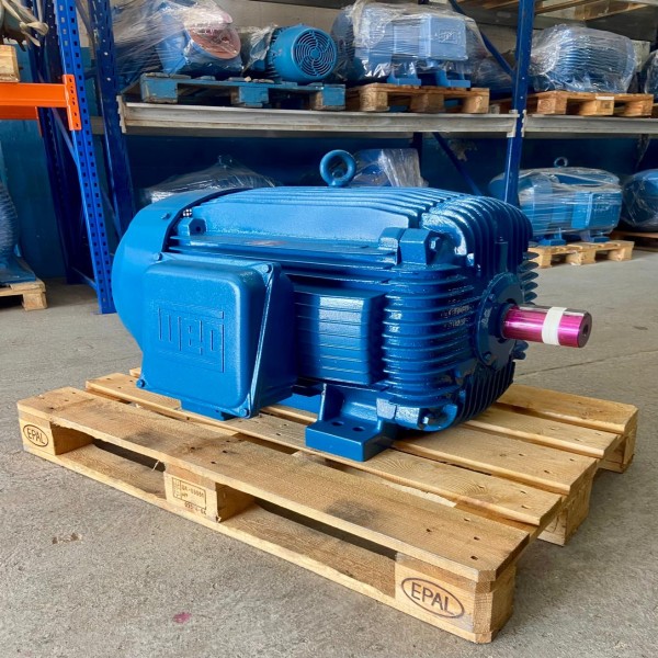 Motor Elétrico WEG